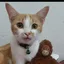 Ted profile picture